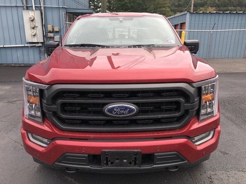 2022 Ford F-150 XLT in Pikeville, KY - Bruce Walters Ford Lincoln Kia